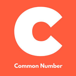 Teer Common Numbers